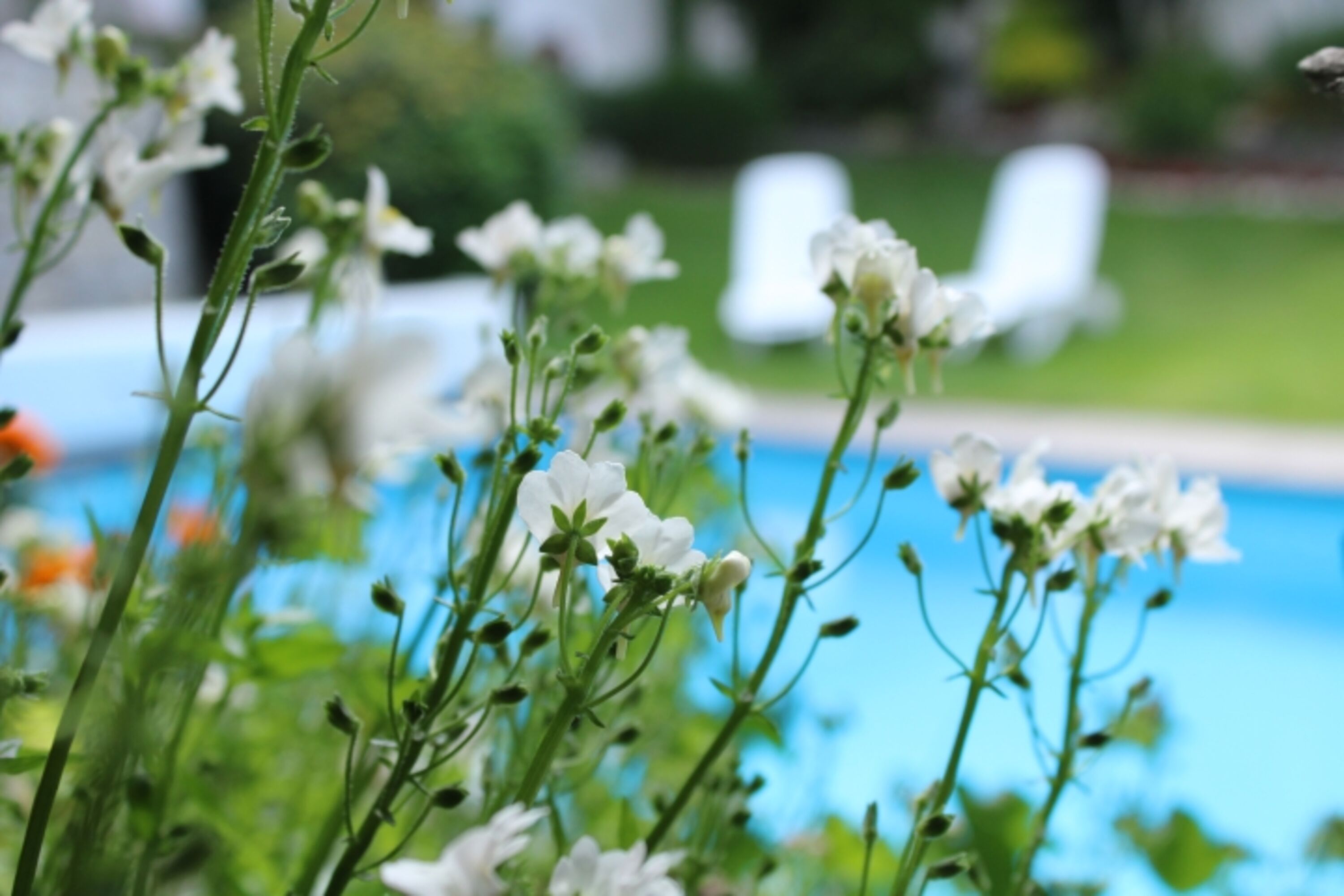 Poolblick