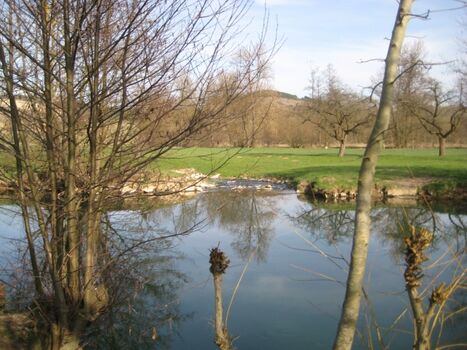 Naturbadestelle an der Tauber