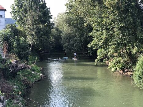 Stand-up Paddling auf der Tauber