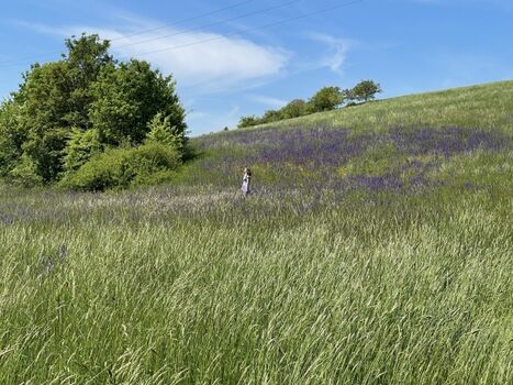 Wanderwege im nahen Welzbachtal