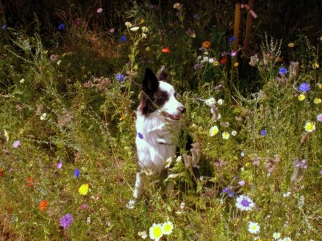 Ferienwohnung Ufer 3