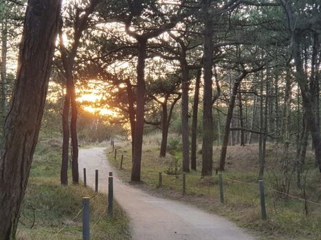 Ferienwohnung Ufer 3, Spazierweg um das Haus