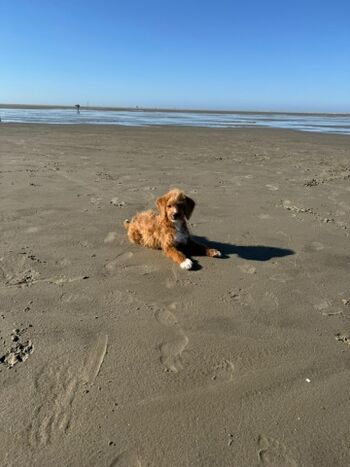 Ferienwohnung Ufer 3, Lillu am Strand