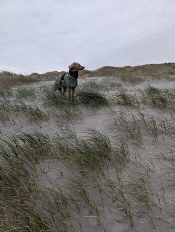 Ferienwohnung Ufer 3, Lillu mit Regenkleidung beim Toben