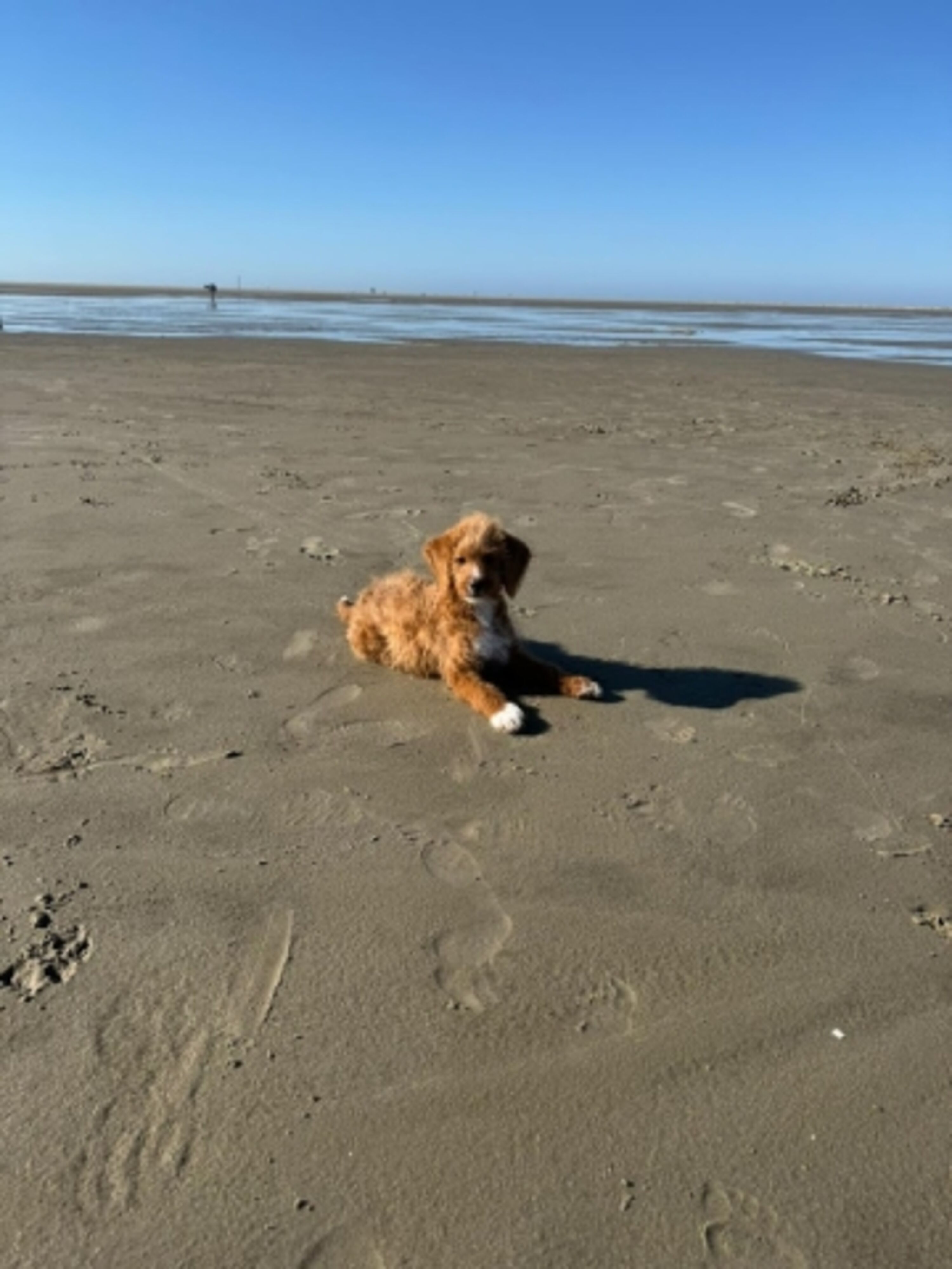 Ferienwohnung Ufer 3, Lillu am Strand