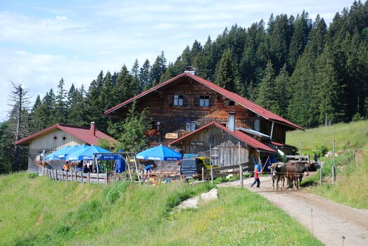 Einkehren auf einer Alpe