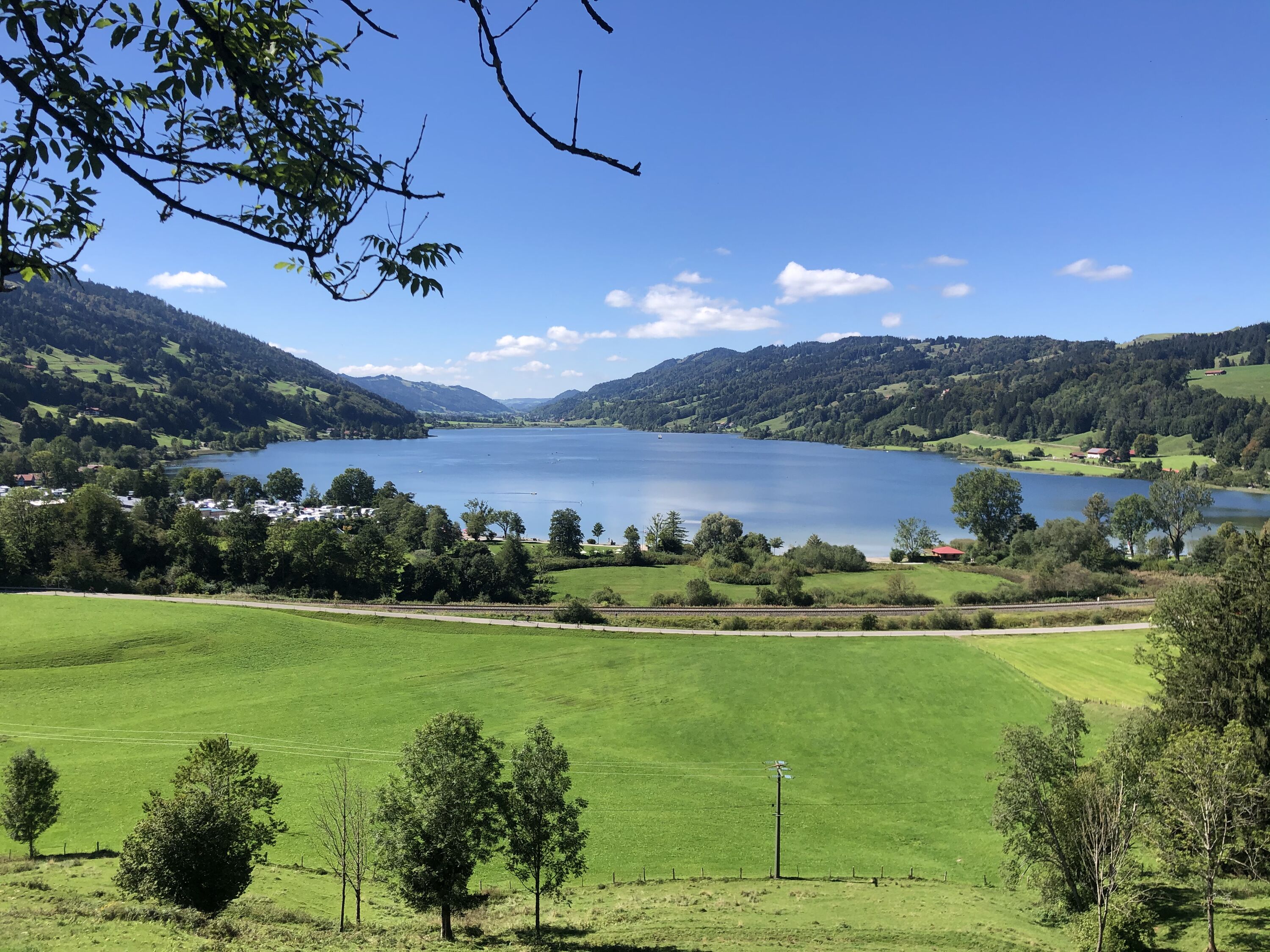 Blick auf den Alpsee