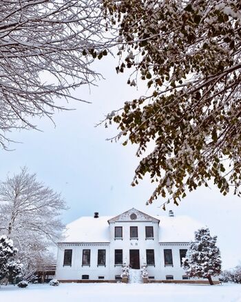 böllerarmes Sylvester