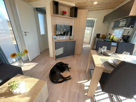 Sommer Chalet Wohnbereich