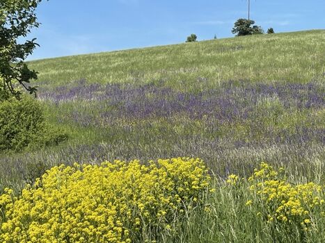 Wanderwege im Welzbachtal
