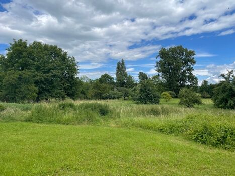 Blick auf die Obstbaumwiesen von der Terrasse