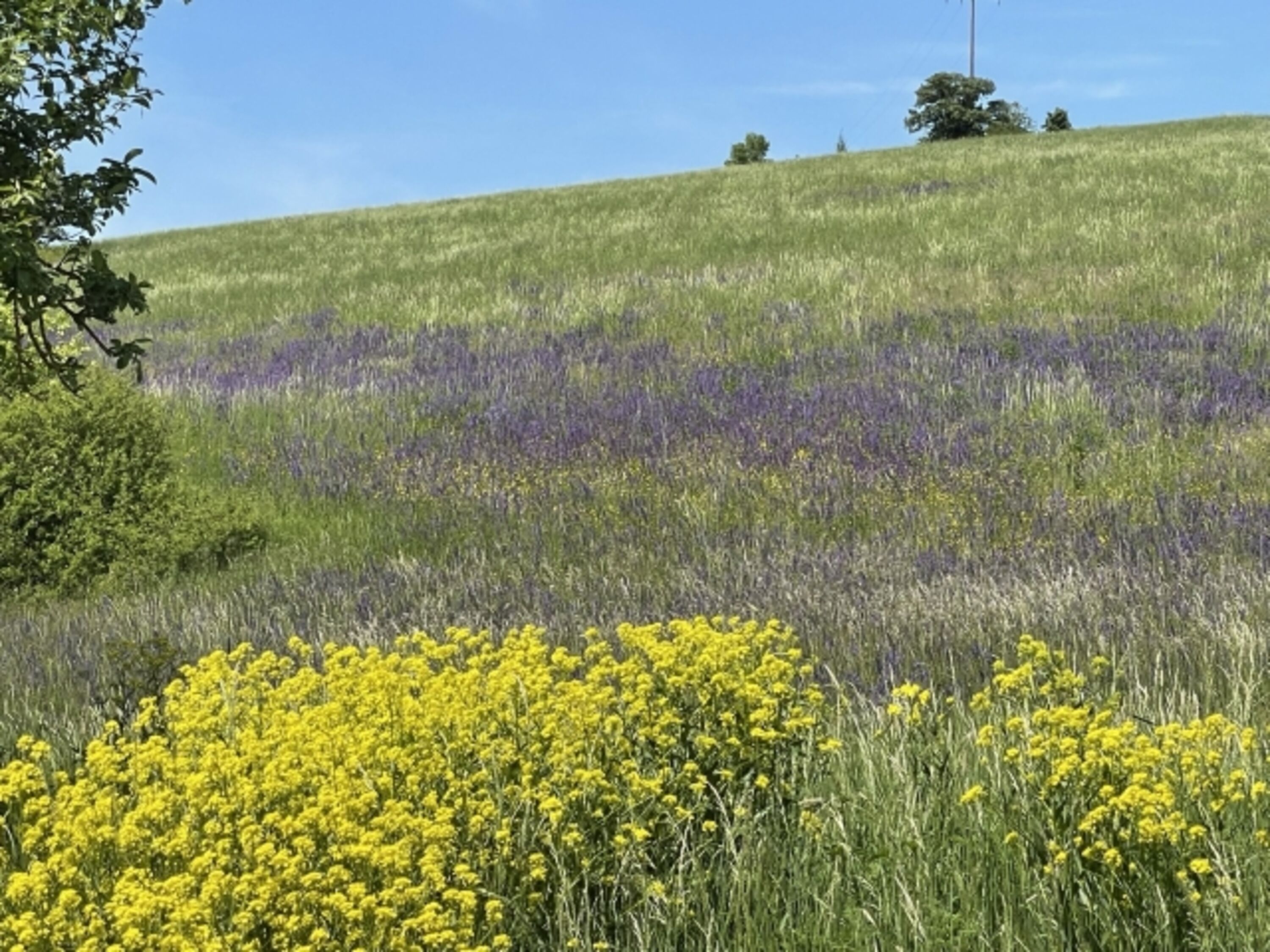 Wanderwege im Welzbachtal