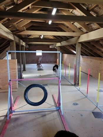 Geräteparcours Indoor