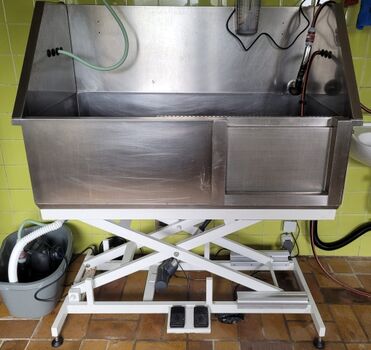 professionelle Hundebadewanne