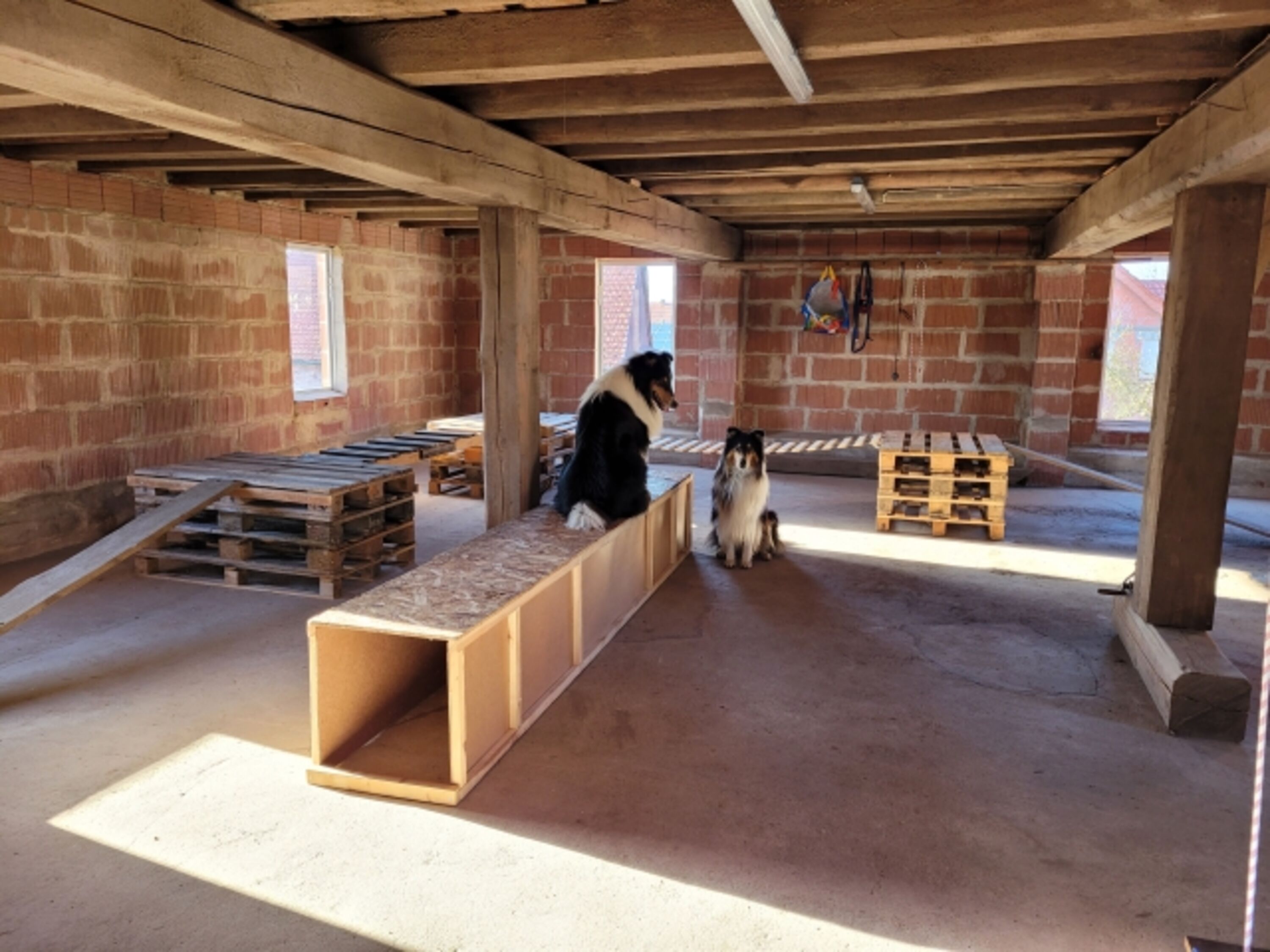 Bild 15