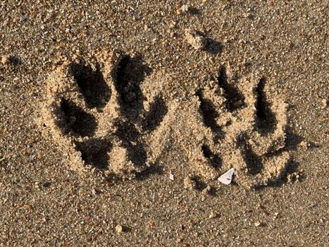 Wir sind willkommen !!! :-)