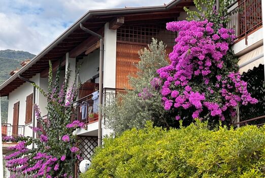 Haus von hinten mit Bouganville