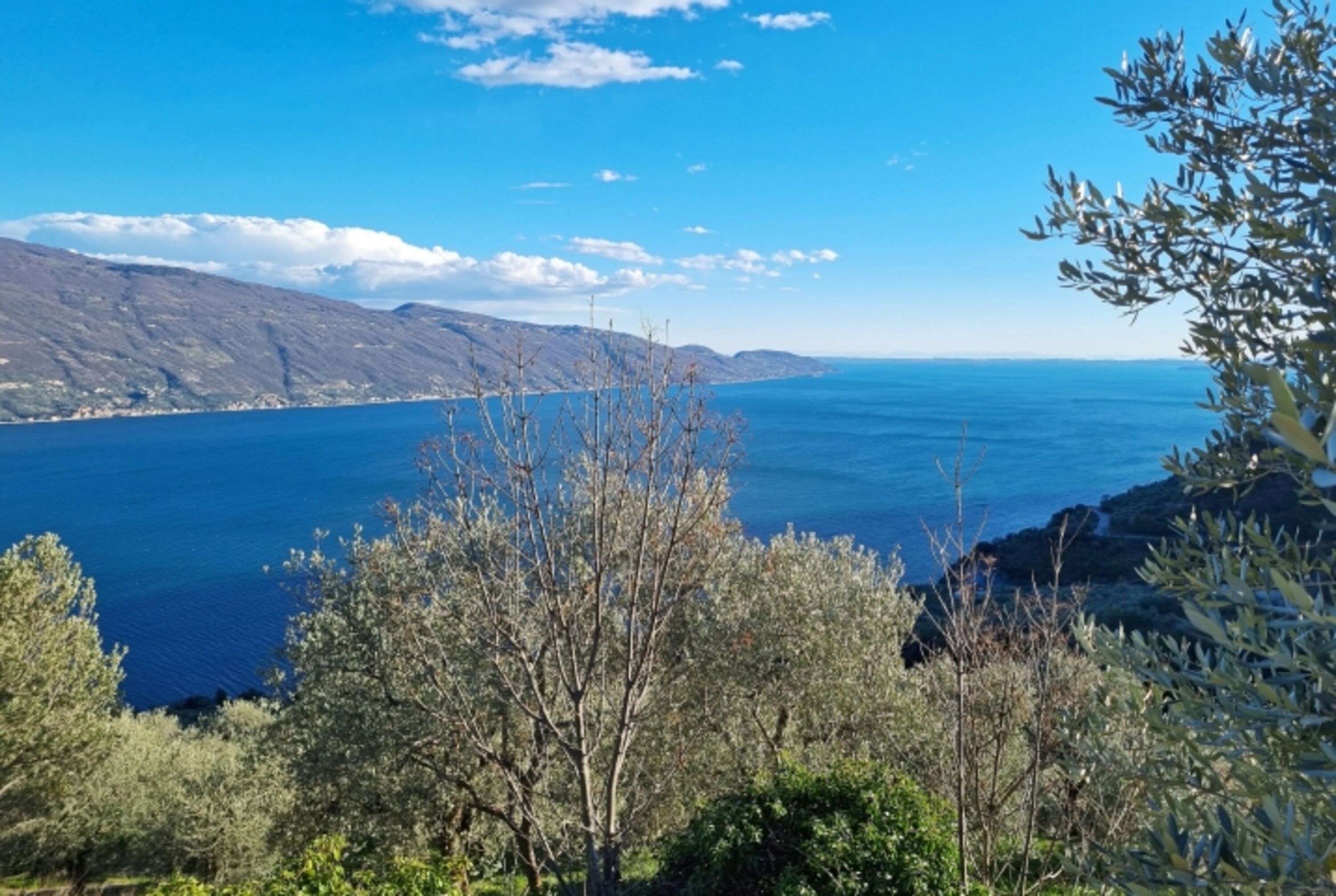 Blick auf den See