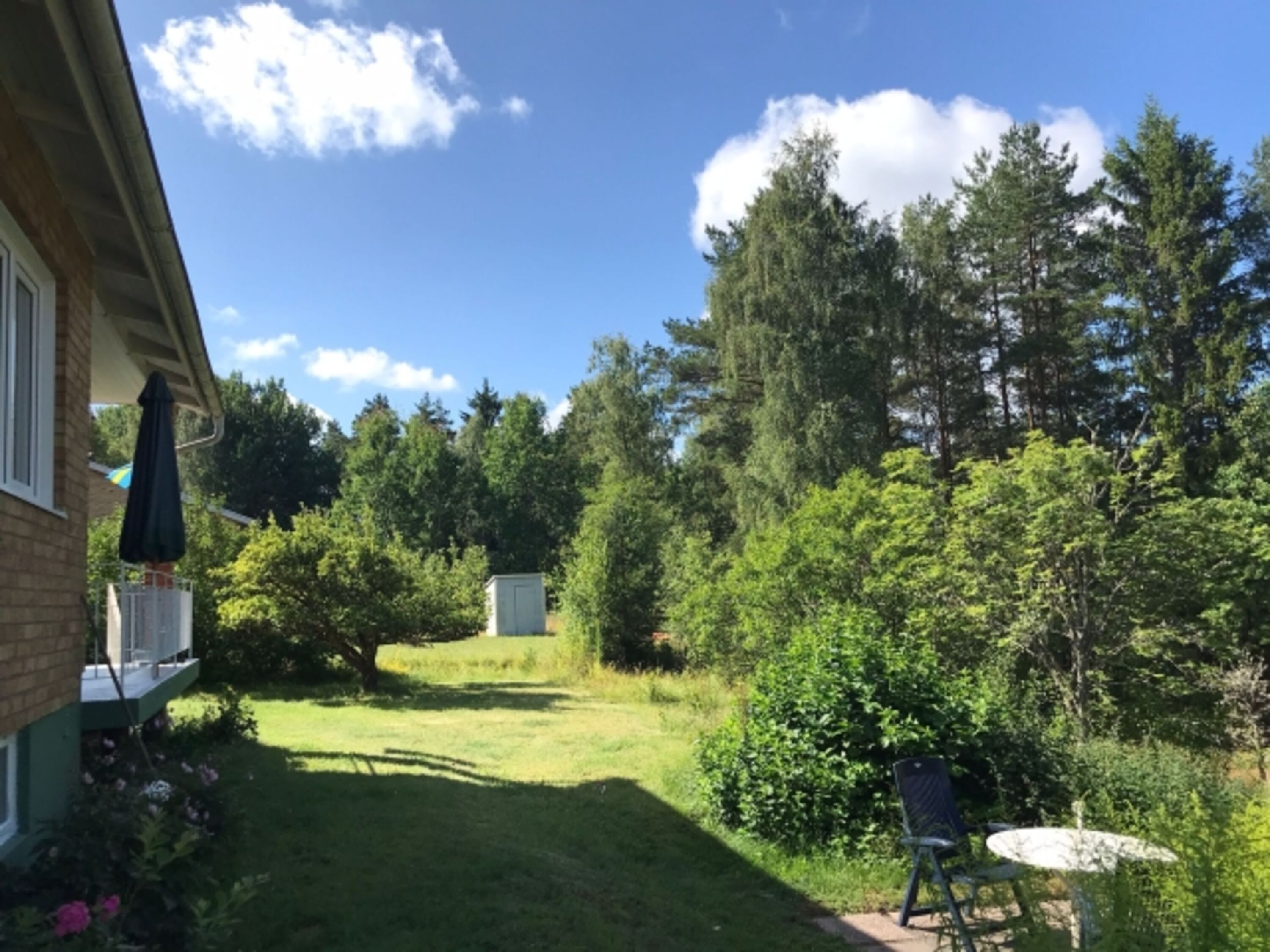 Gartenblick/ Rasenfläche um das Haus herum