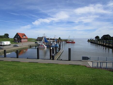 Der Krabbenkutterhafen in Fedderwardersiel