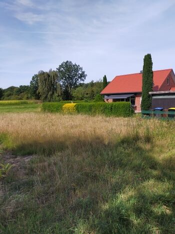 Getreidefeld vor dem Ferienhaus