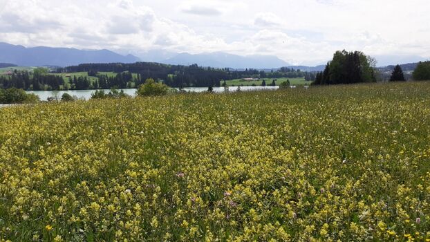 Nur ein paar Meter entfernt