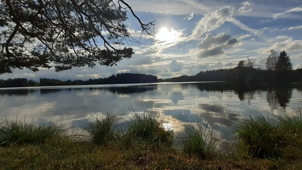 Schmutterweiher auch nicht weit