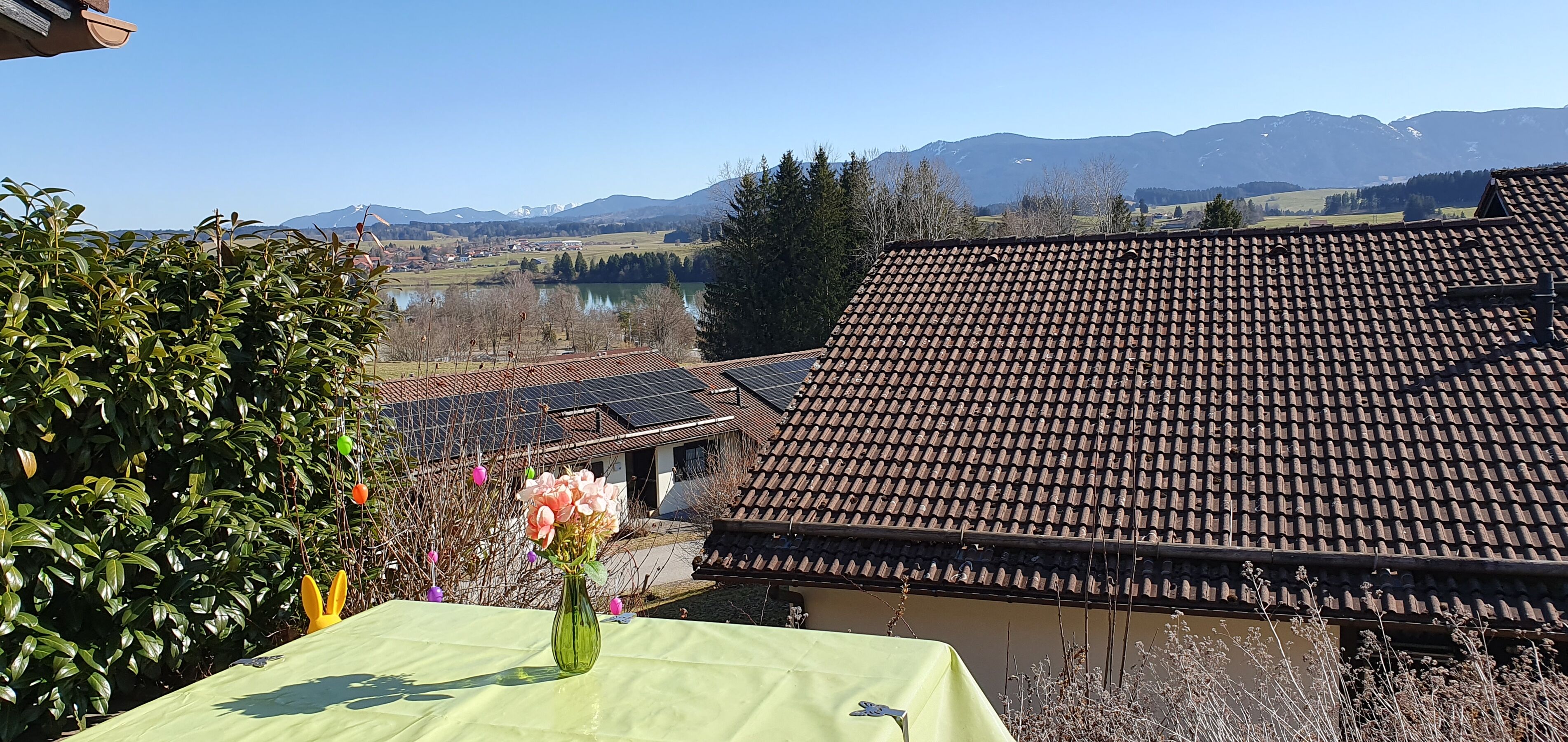 Traumaussicht