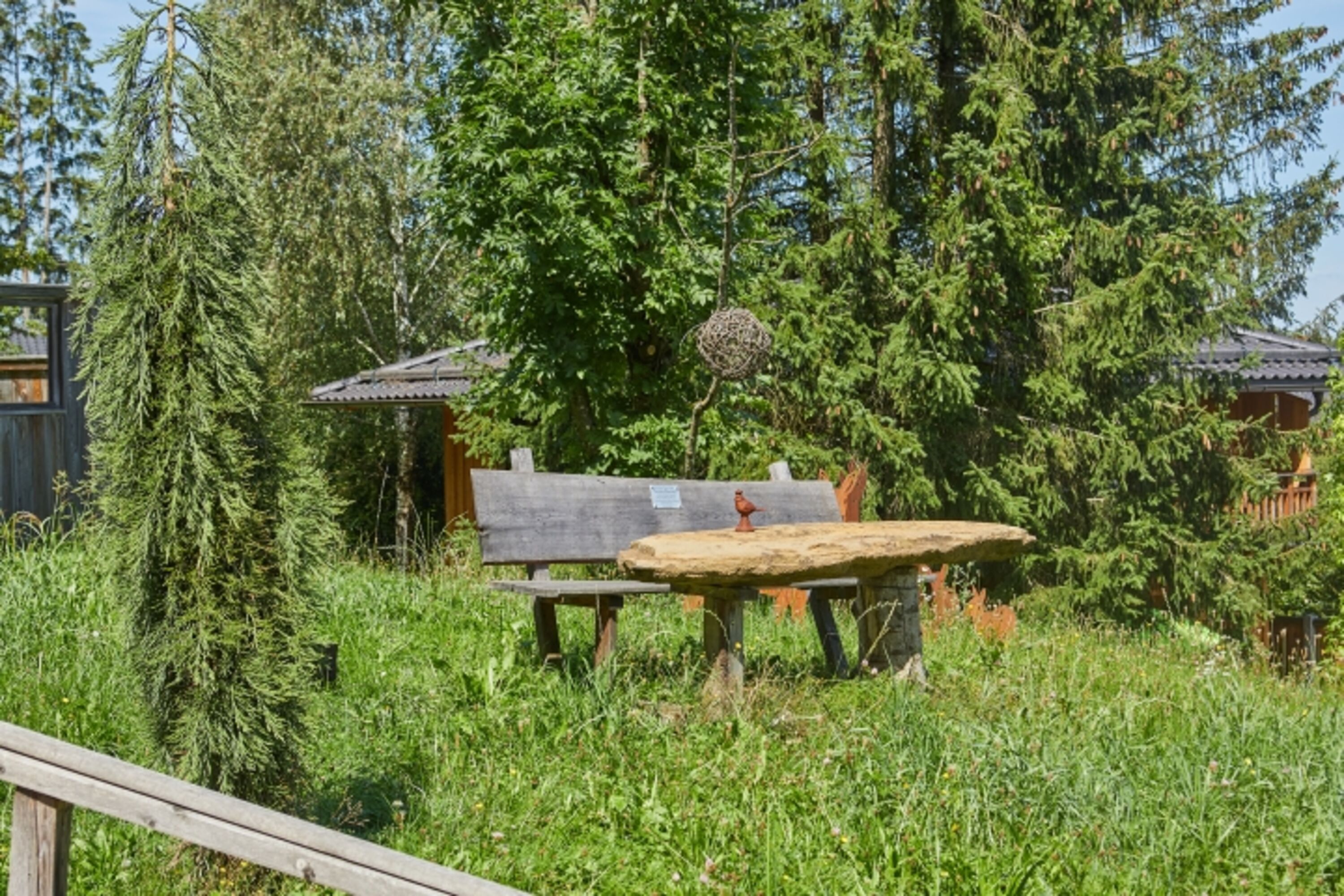 Bild 19