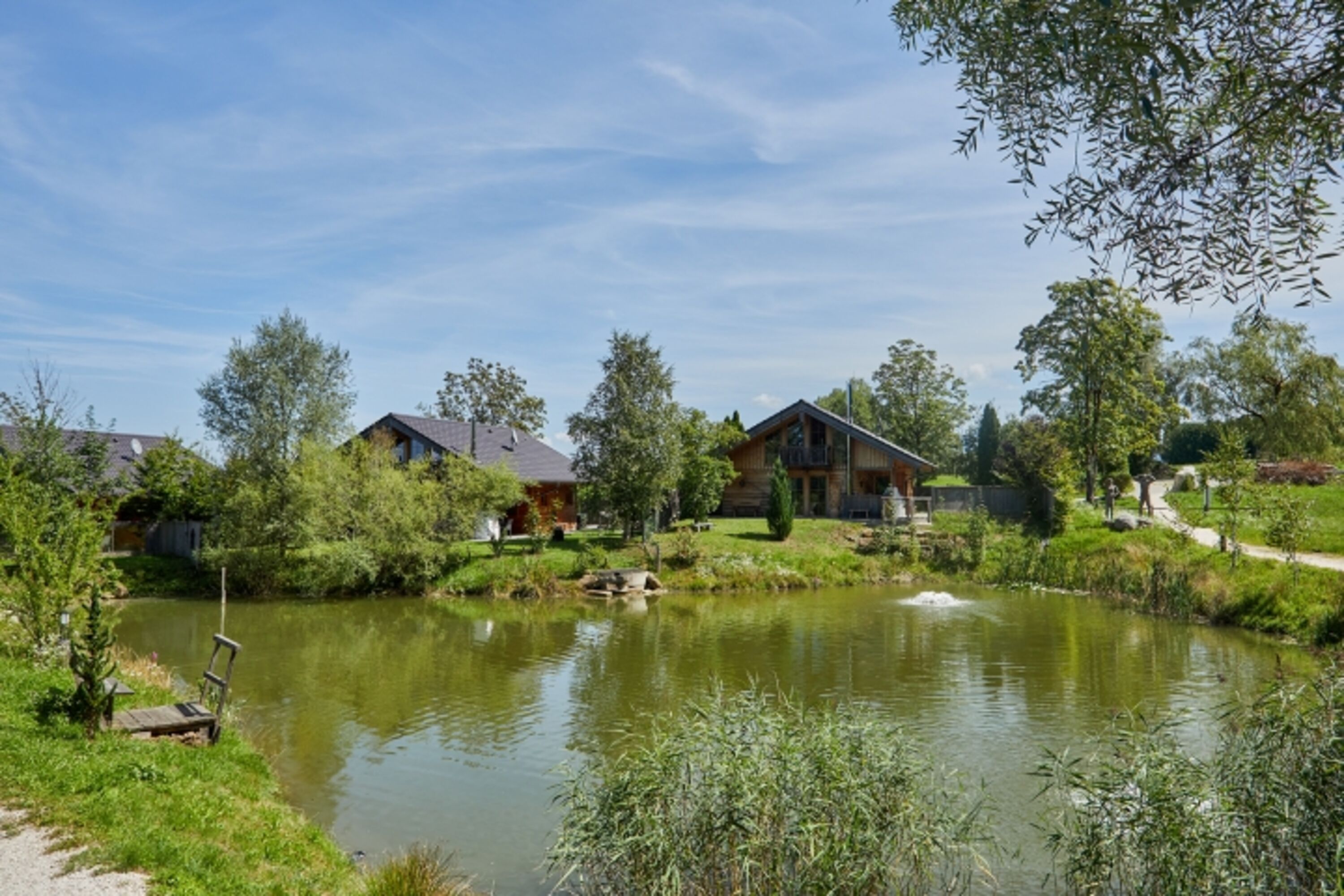 Bild 19