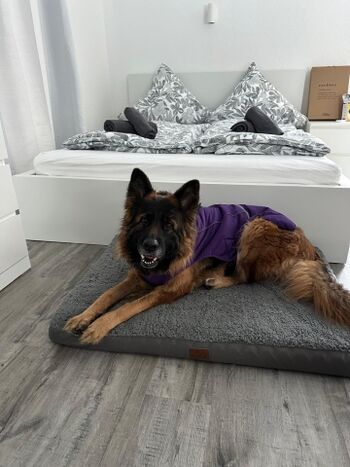 Ausruhen nach der Schneewanderung