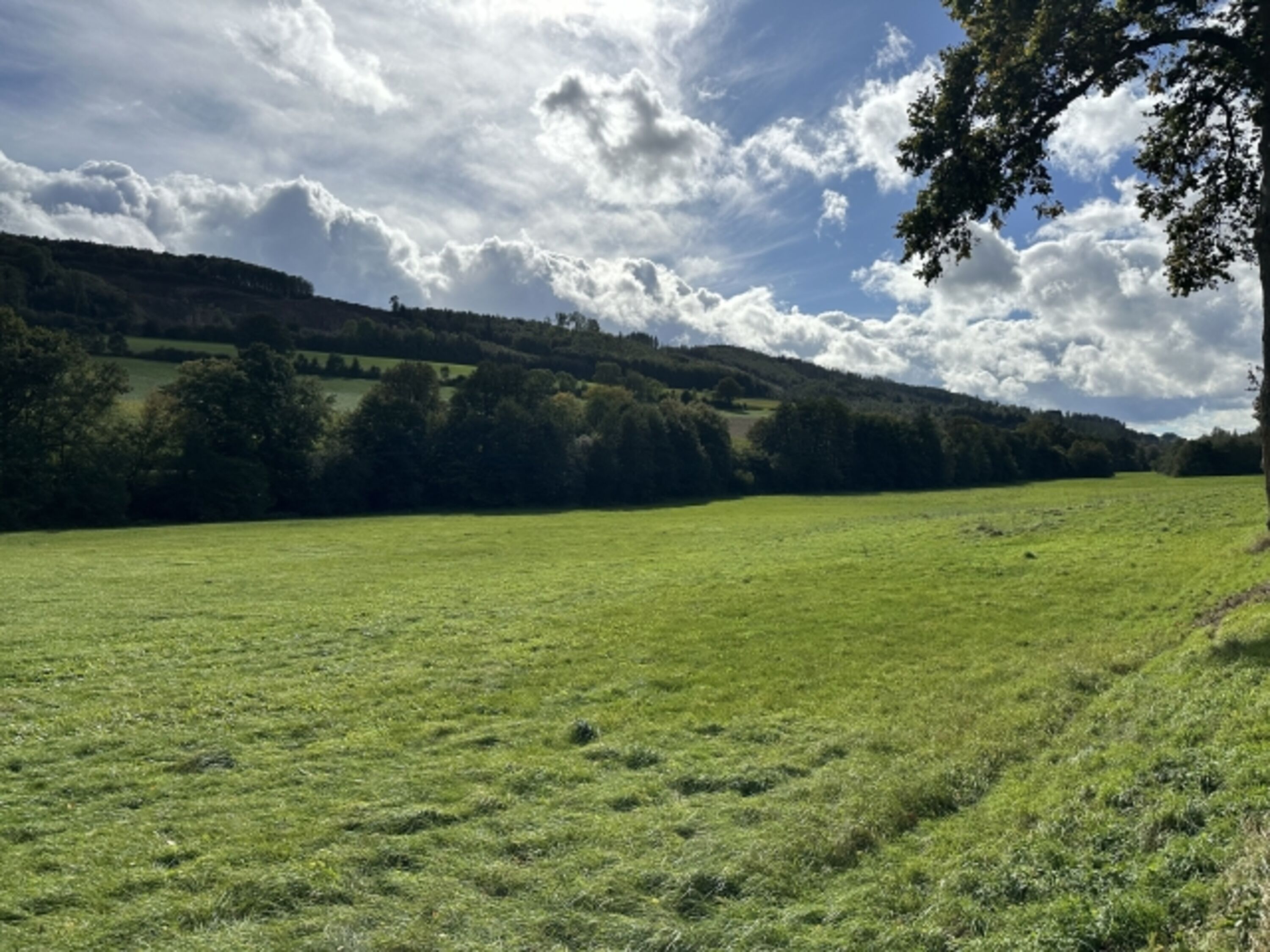 Wandern im Sommer