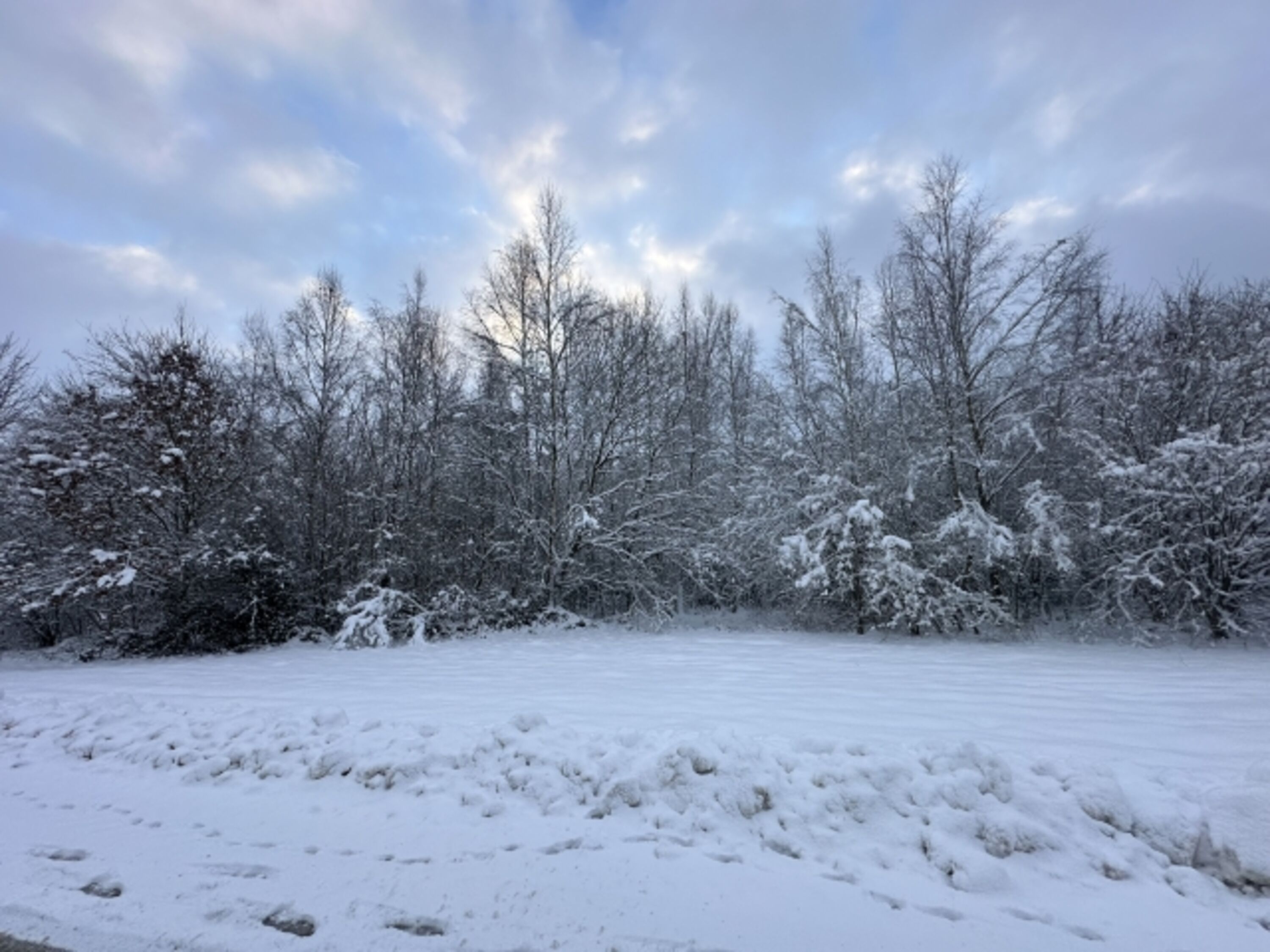 Wandern im Winter