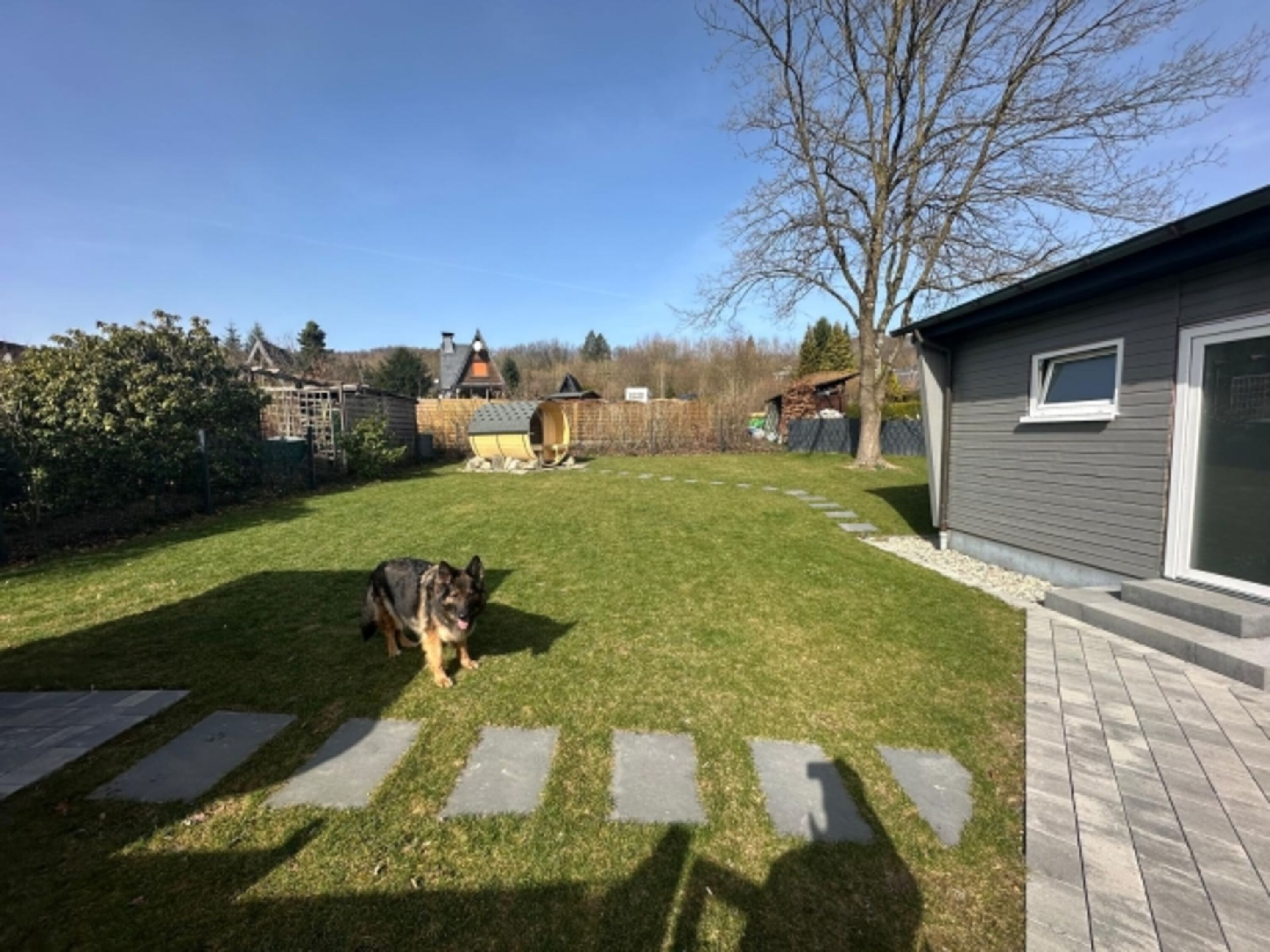 Bild 11