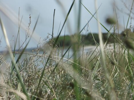 Ferienwohnung Fräulein Emma Lotta