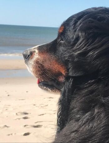 Feriengast Lotte am Strand