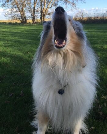 Juhuu.. endlich Urlaub :)