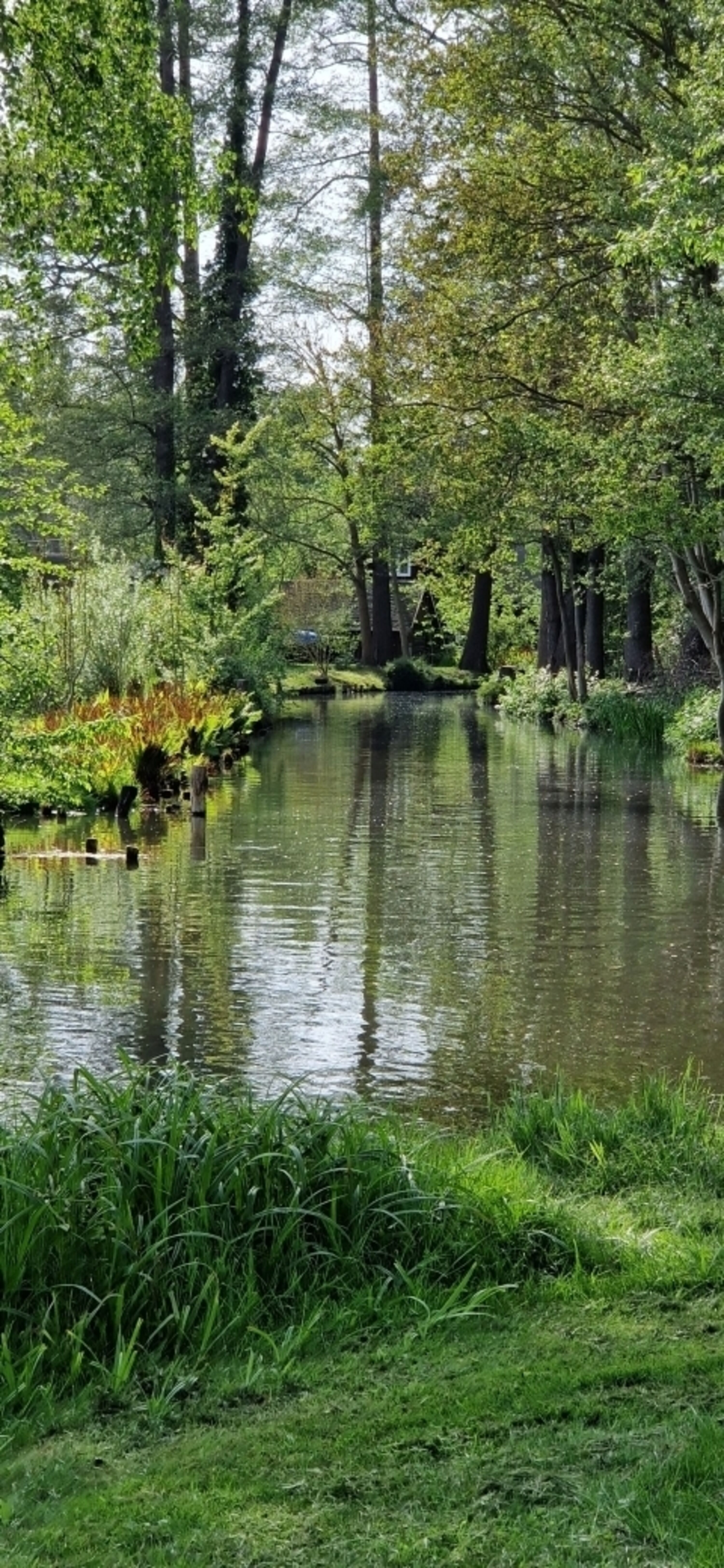 Bild 14