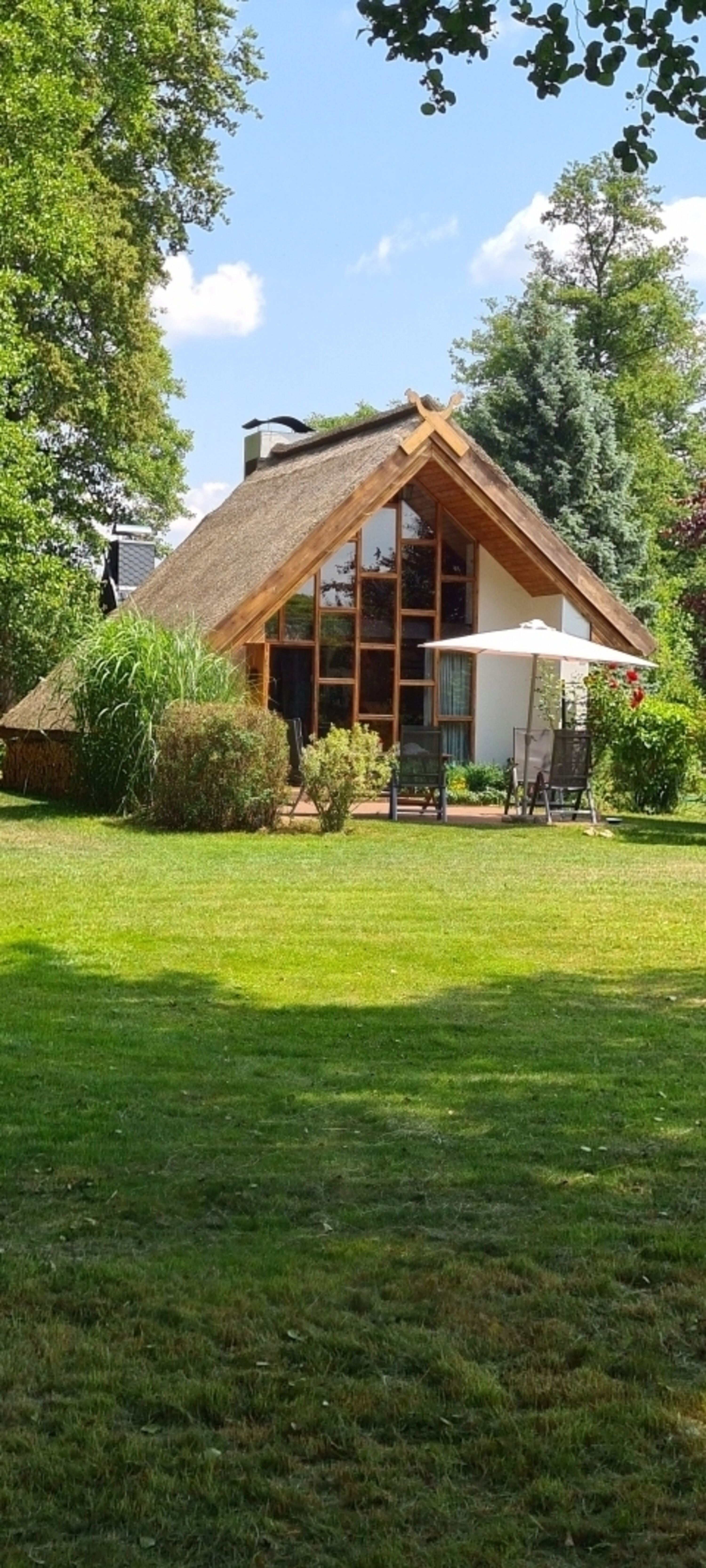 Bild 15