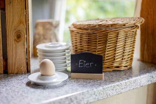 Eier