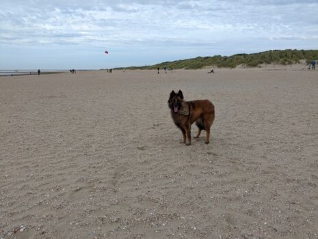 kilometerlanger Sandstrand