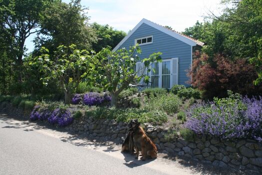 Haus Patrick in Ouddorp