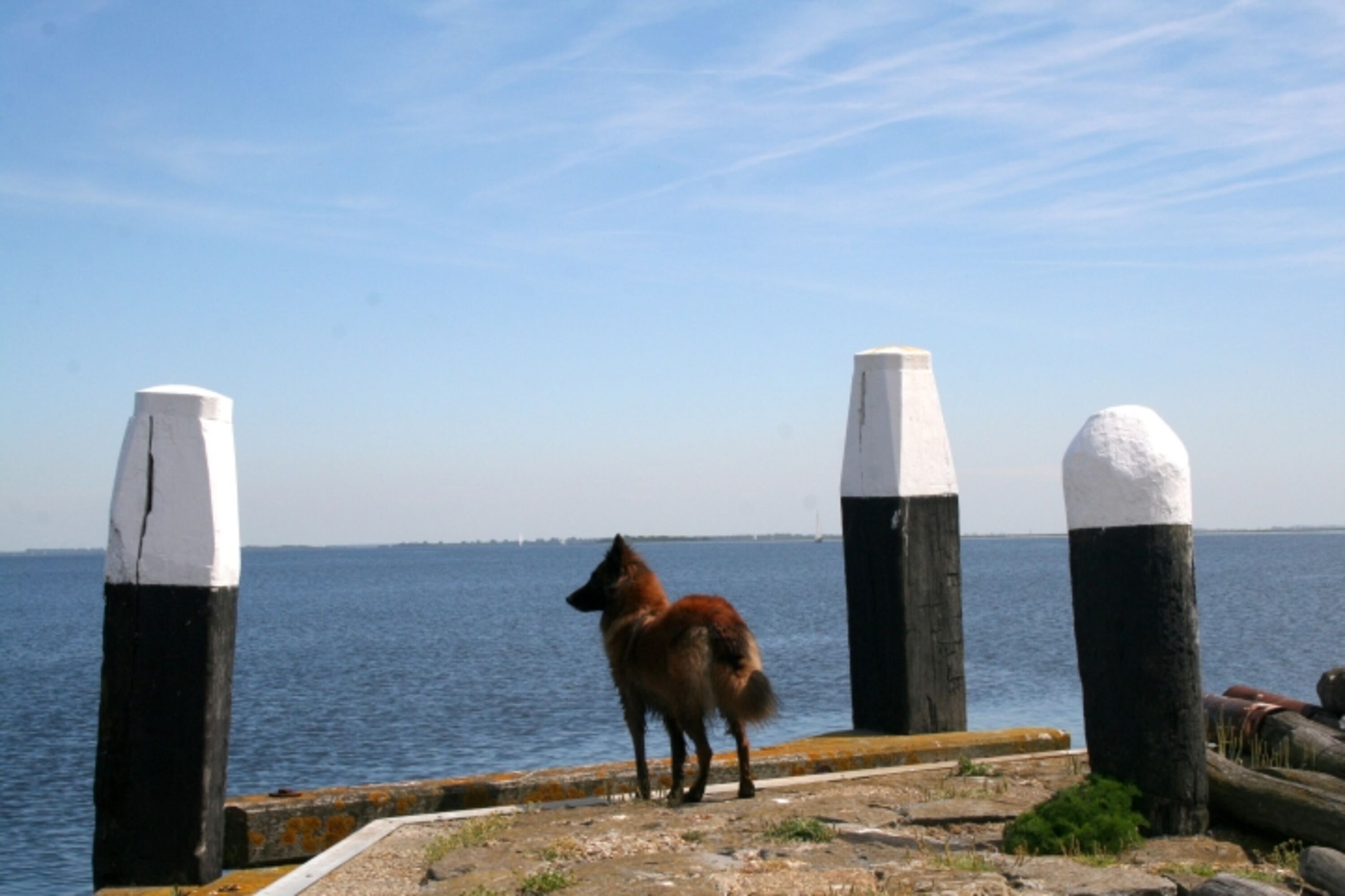 am Hafen