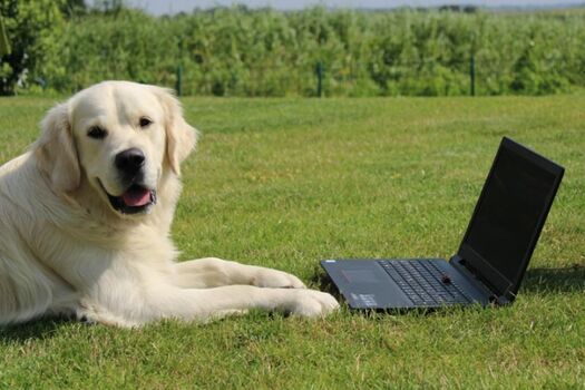 Wann kommst, buche jetzt!