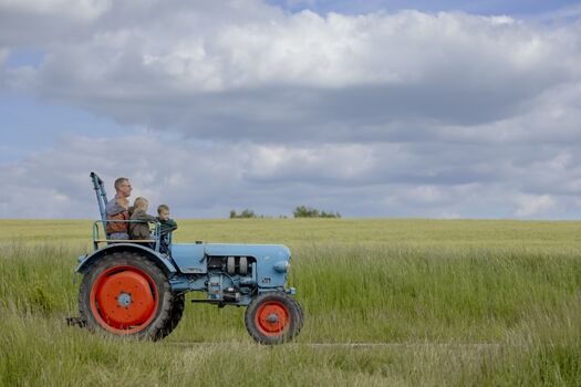in Eigenregie: Traktorfahren