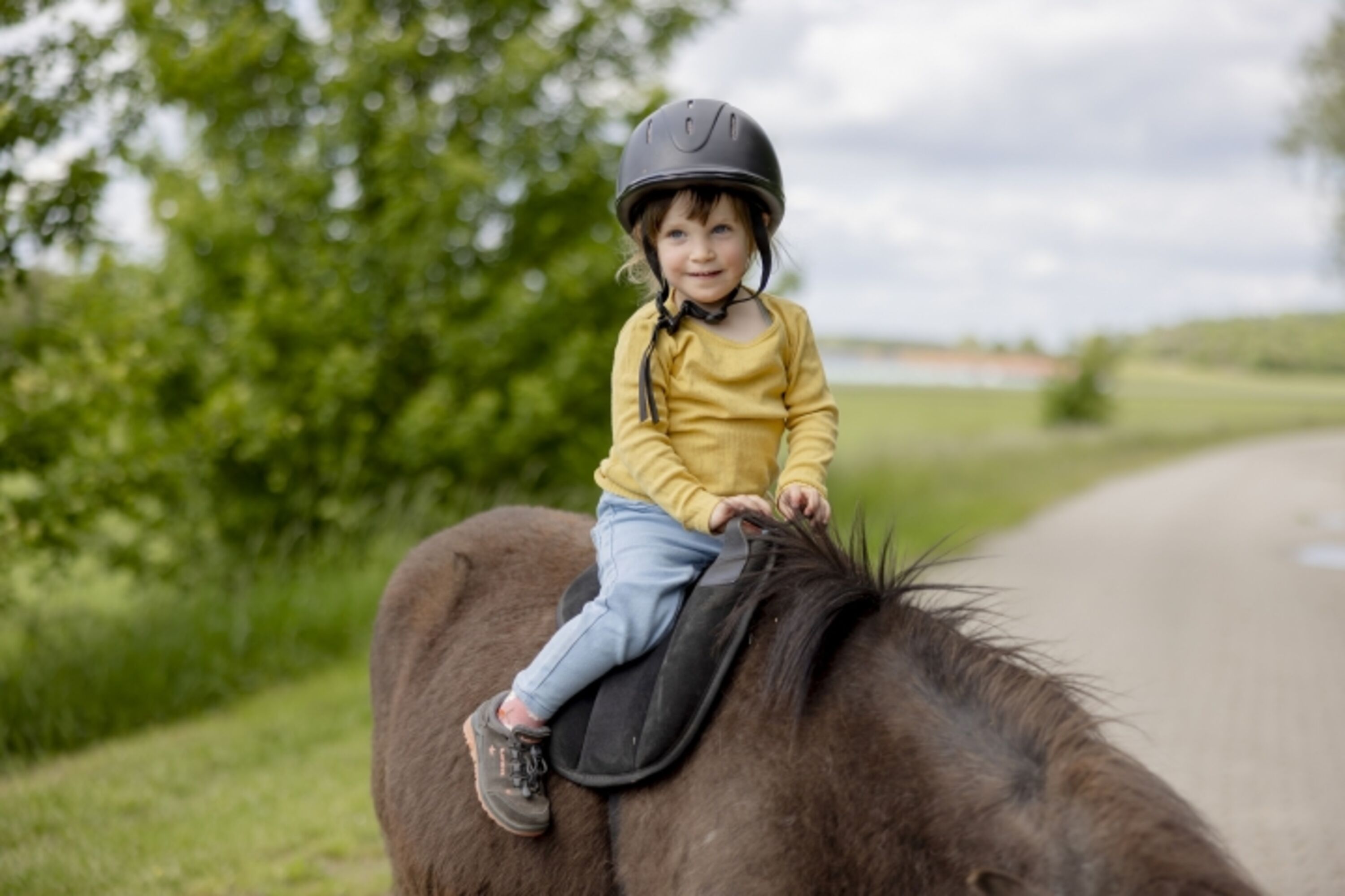 Ponyausflug