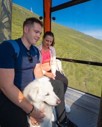 Gondelfahren mit Hund