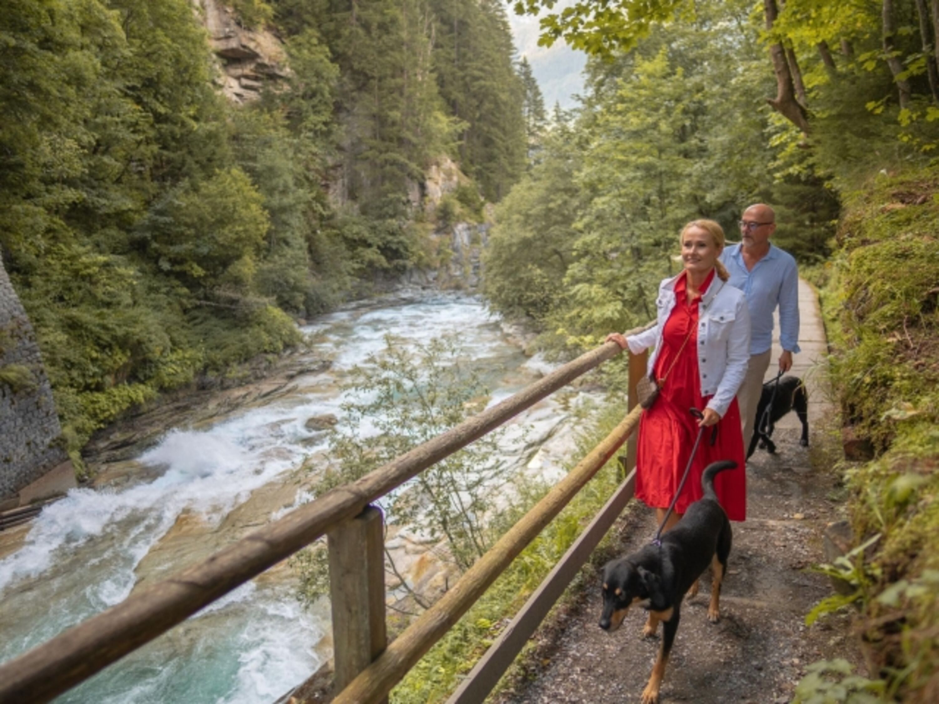 Wandern mit Hund 
