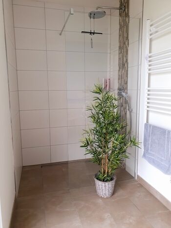 Dusche EG im Saunaraum