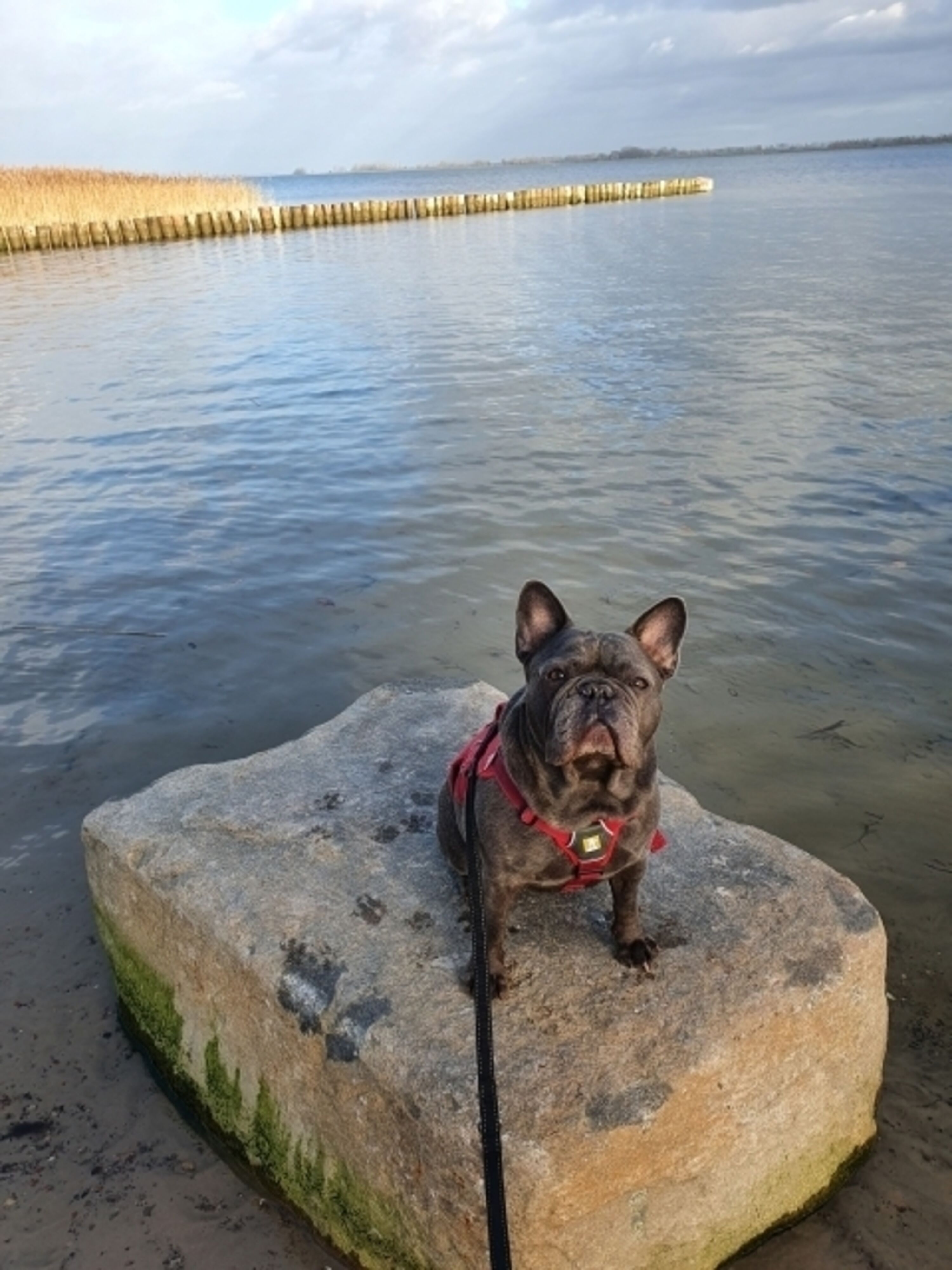 An unserem Strand